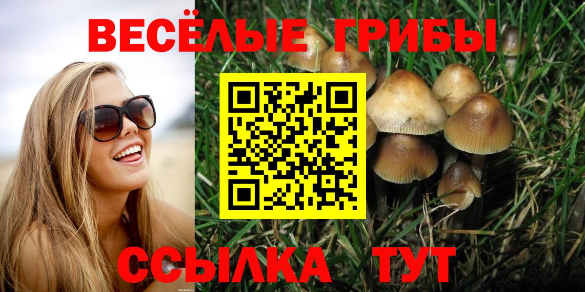 Псилоцибиновые грибы мицелий  Вход с VPN  Галлюциногенные грибы Cubensis  Кропоткин 